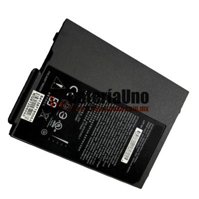 Batería de repuesto para GETAC RX10 BP4S2P2900-P 441871910010 441871910009