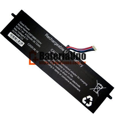 Batería de repuesto para PDA 10Buckles-9Lines GSP3866123HV