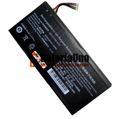 Batería de repuesto para PDA 10Lines AEC317599-3S1P