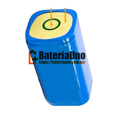 Batería de repuesto para PLC E901